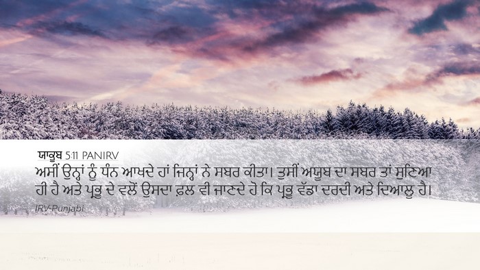 ਯਾਕੂਬ 5:11 PANIRV Bible Verse Image
