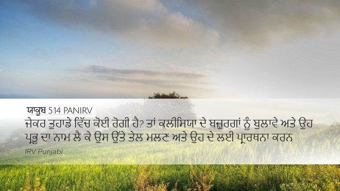 ਯਾਕੂਬ 5:14 PANIRV Bible Verse Image