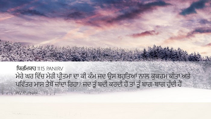 ਯਿਰਮਿਯਾਹ 11:15 PANIRV Bible Verse Image