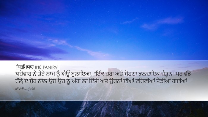 ਯਿਰਮਿਯਾਹ 11:16 PANIRV Bible Verse Image