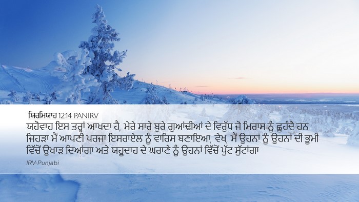 ਯਿਰਮਿਯਾਹ 12:14 PANIRV Bible Verse Image
