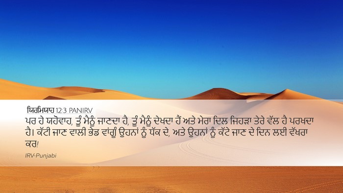 ਯਿਰਮਿਯਾਹ 12:3 PANIRV Bible Verse Image