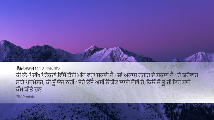 ਯਿਰਮਿਯਾਹ 14:22 PANIRV Bible Verse Image