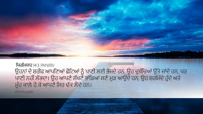 ਯਿਰਮਿਯਾਹ 14:3 PANIRV Bible Verse Image