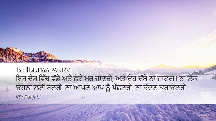 ਯਿਰਮਿਯਾਹ 16:6 PANIRV Bible Verse Image