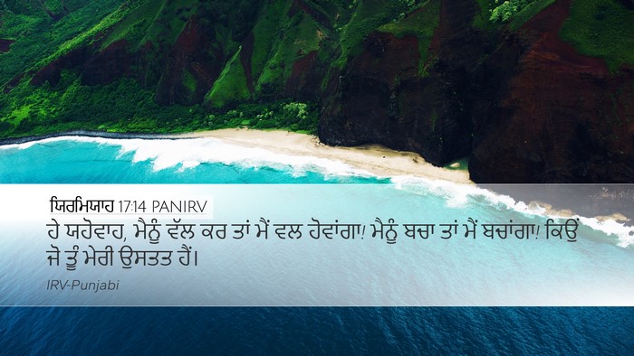 ਯਿਰਮਿਯਾਹ 17:14 PANIRV Bible Verse Image
