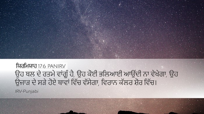 ਯਿਰਮਿਯਾਹ 17:6 PANIRV Bible Verse Image