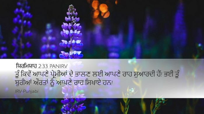 ਯਿਰਮਿਯਾਹ 2:33 PANIRV Bible Verse Image
