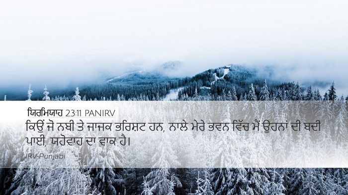 ਯਿਰਮਿਯਾਹ 23:11 PANIRV Bible Verse Image