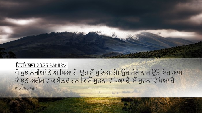 ਯਿਰਮਿਯਾਹ 23:25 PANIRV Bible Verse Image
