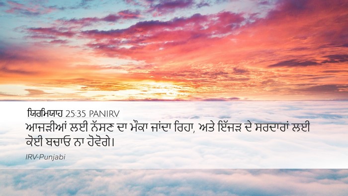 ਯਿਰਮਿਯਾਹ 25:35 PANIRV Bible Verse Image