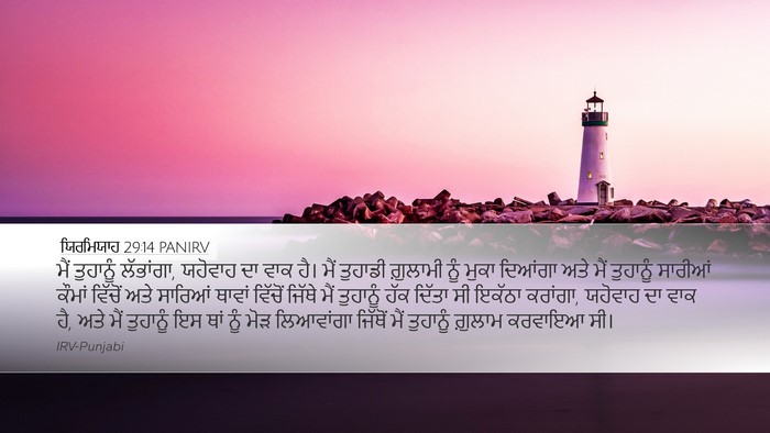 ਯਿਰਮਿਯਾਹ 29:14 PANIRV Bible Verse Image