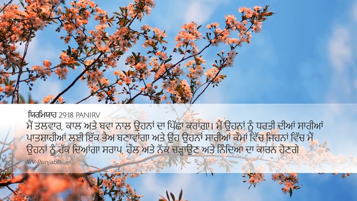 ਯਿਰਮਿਯਾਹ 29:18 PANIRV Bible Verse Image