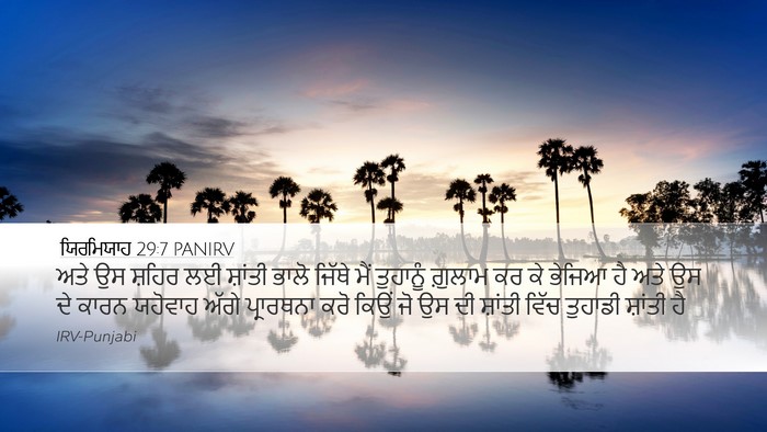 ਯਿਰਮਿਯਾਹ 29:7 PANIRV Bible Verse Image
