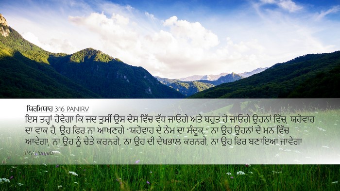 ਯਿਰਮਿਯਾਹ 3:16 PANIRV Bible Verse Image