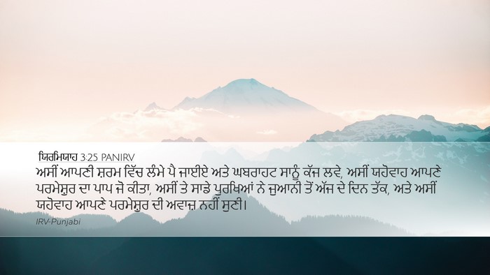 ਯਿਰਮਿਯਾਹ 3:25 PANIRV Bible Verse Image