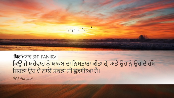 ਯਿਰਮਿਯਾਹ 31:11 PANIRV Bible Verse Image