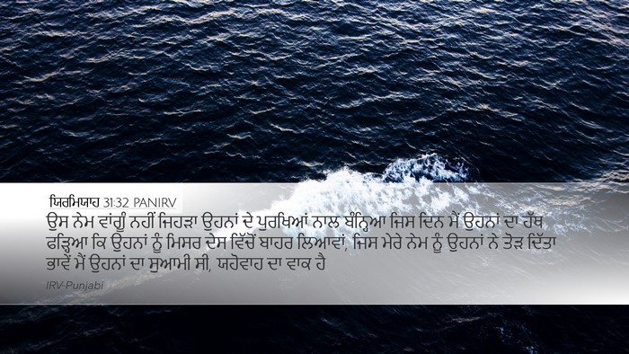 ਯਿਰਮਿਯਾਹ 31:32 PANIRV Bible Verse Image