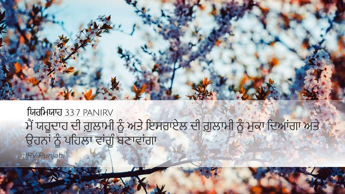 ਯਿਰਮਿਯਾਹ 33:7 PANIRV Bible Verse Image