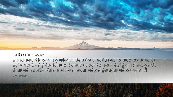 ਯਿਰਮਿਯਾਹ 38:17 PANIRV Bible Verse Image