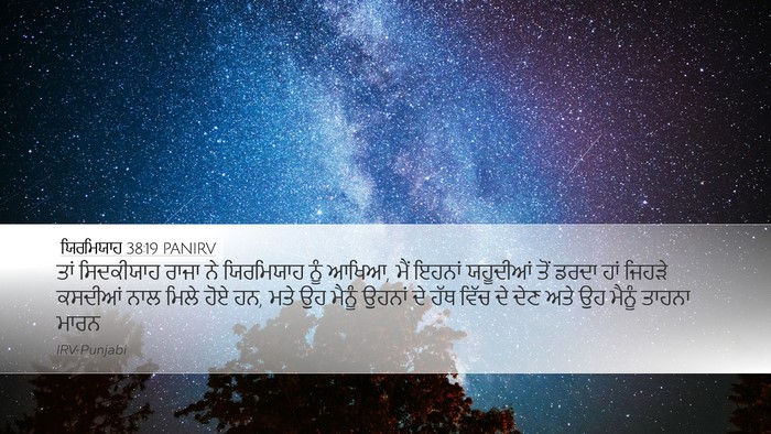 ਯਿਰਮਿਯਾਹ 38:19 PANIRV Bible Verse Image