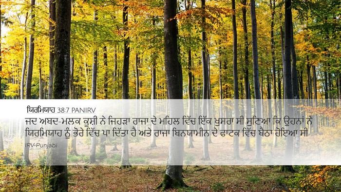 ਯਿਰਮਿਯਾਹ 38:7 PANIRV Bible Verse Image