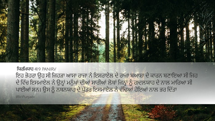 ਯਿਰਮਿਯਾਹ 41:9 PANIRV Bible Verse Image
