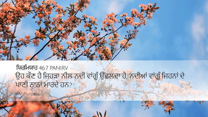 ਯਿਰਮਿਯਾਹ 46:7 PANIRV Bible Verse Image