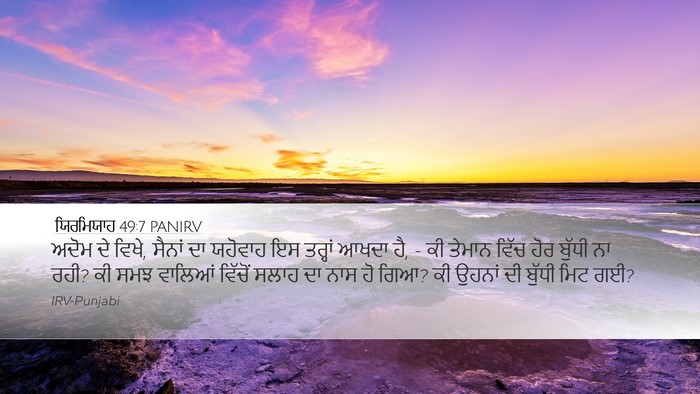 ਯਿਰਮਿਯਾਹ 49:7 PANIRV Bible Verse Image