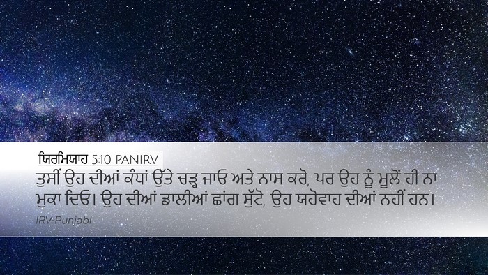 ਯਿਰਮਿਯਾਹ 5:10 PANIRV Bible Verse Image