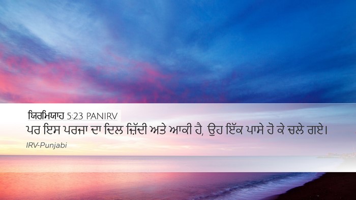 ਯਿਰਮਿਯਾਹ 5:23 PANIRV Bible Verse Image