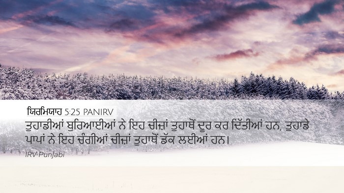 ਯਿਰਮਿਯਾਹ 5:25 PANIRV Bible Verse Image