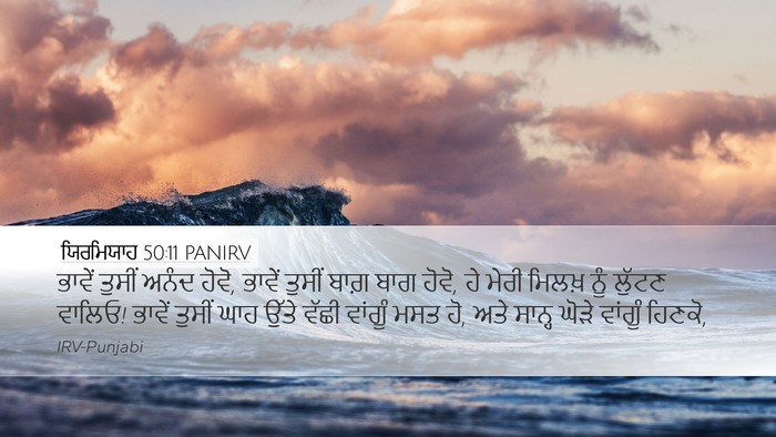 ਯਿਰਮਿਯਾਹ 50:11 PANIRV Bible Verse Image