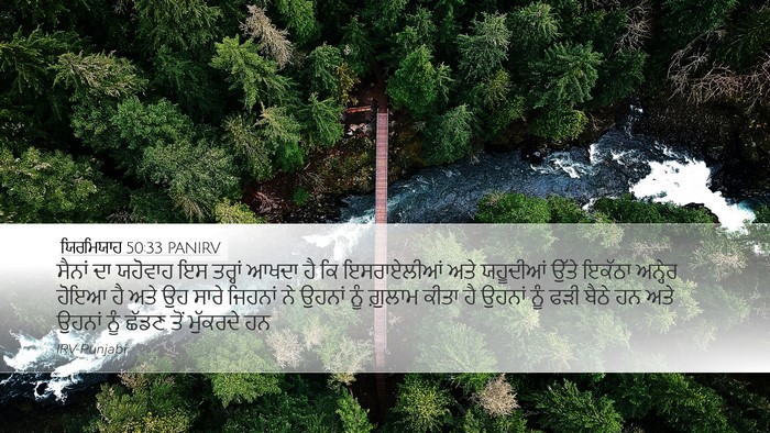 ਯਿਰਮਿਯਾਹ 50:33 PANIRV Bible Verse Image