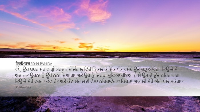 ਯਿਰਮਿਯਾਹ 50:44 PANIRV Bible Verse Image
