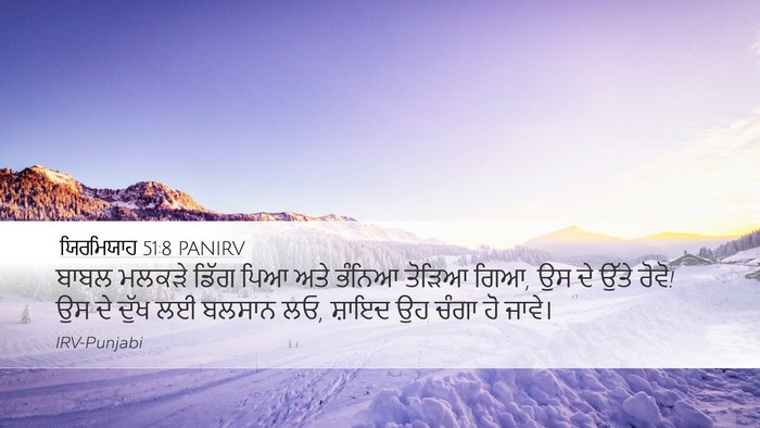 ਯਿਰਮਿਯਾਹ 51:8 PANIRV Bible Verse Image