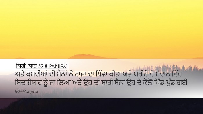 ਯਿਰਮਿਯਾਹ 52:8 PANIRV Bible Verse Image