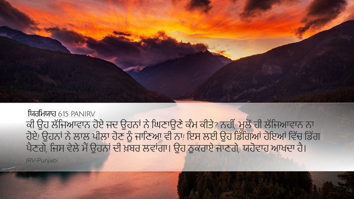 ਯਿਰਮਿਯਾਹ 6:15 PANIRV Bible Verse Image