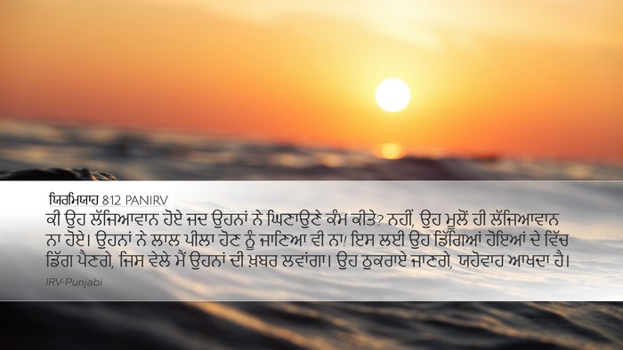 ਯਿਰਮਿਯਾਹ 8:12 PANIRV Bible Verse Image
