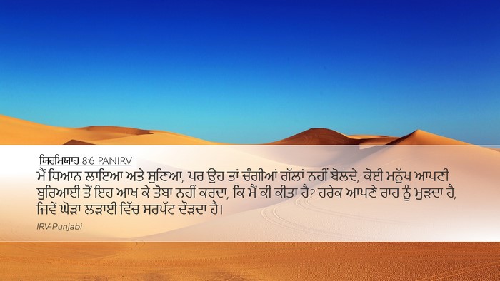 ਯਿਰਮਿਯਾਹ 8:6 PANIRV Bible Verse Image