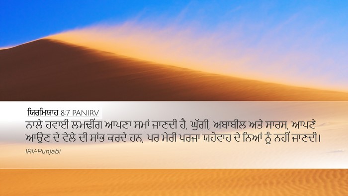 ਯਿਰਮਿਯਾਹ 8:7 PANIRV Bible Verse Image