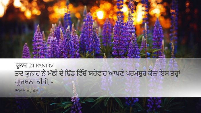 ਯੂਨਾਹ 2:1 PANIRV Bible Verse Image