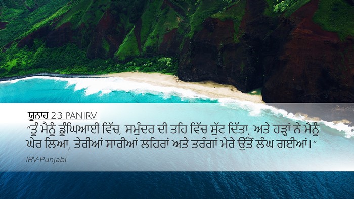 ਯੂਨਾਹ 2:3 PANIRV Bible Verse Image
