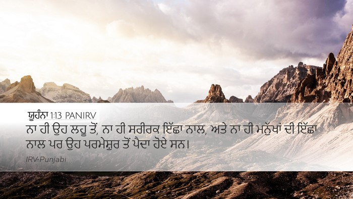 ਯੂਹੰਨਾ 1:13 PANIRV Bible Verse Image