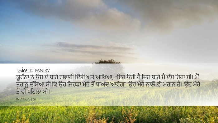 ਯੂਹੰਨਾ 1:15 PANIRV Bible Verse Image