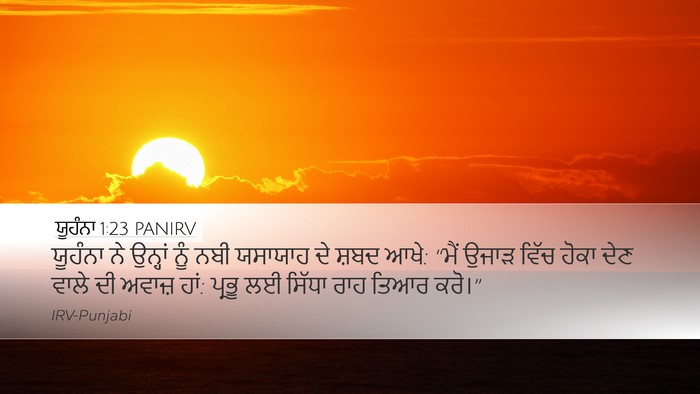 ਯੂਹੰਨਾ 1:23 PANIRV Bible Verse Image