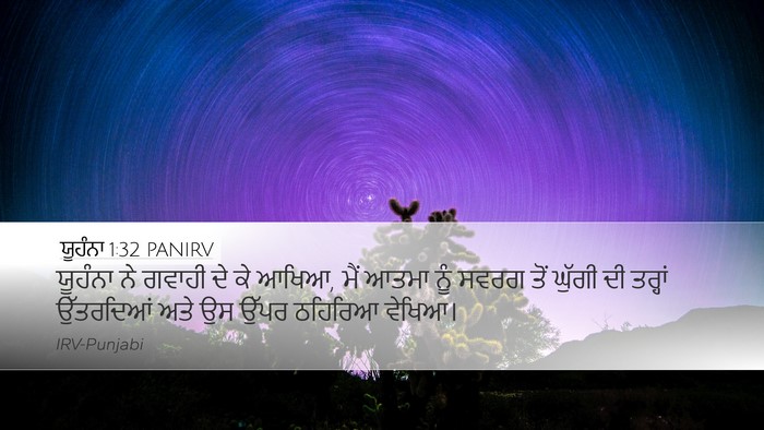 ਯੂਹੰਨਾ 1:32 PANIRV Bible Verse Image