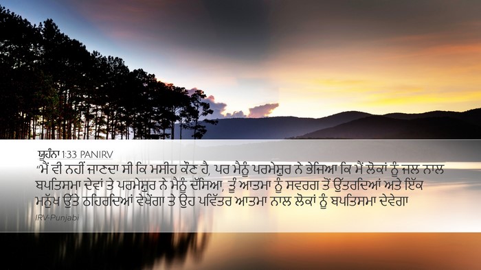 ਯੂਹੰਨਾ 1:33 PANIRV Bible Verse Image