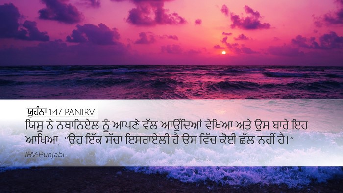 ਯੂਹੰਨਾ 1:47 PANIRV Bible Verse Image