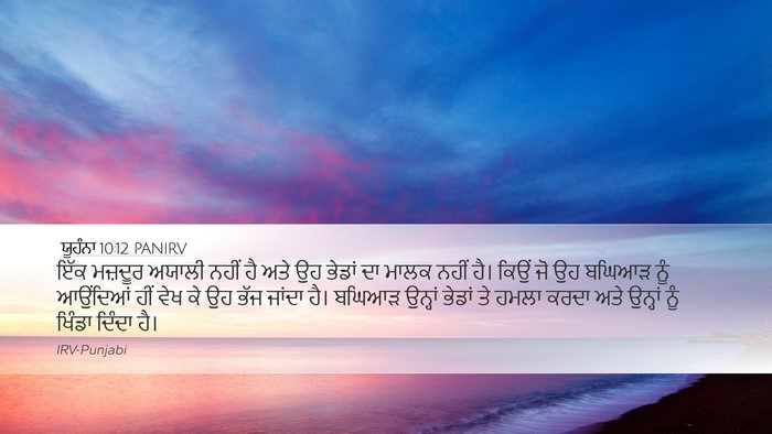 ਯੂਹੰਨਾ 10:12 PANIRV Bible Verse Image